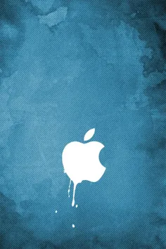apple(iphone)