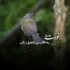 هرگز خودت رو به کسی تحمیل نکن...