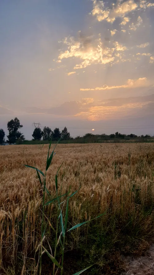 اینم غروب ی سیزده بدر عالی کنار عزیزانم😍😍