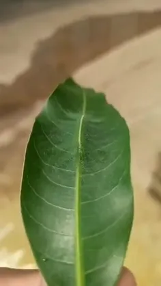 ⭕ قسمت اول 