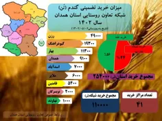 اینفوگراف میزان خرید تضمینی گندم در استان همدان تا تاریخ ۱۴۰۲/۰۵/۰۲