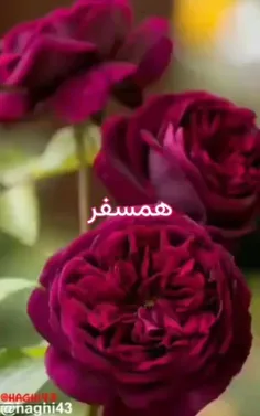 صبحتون پر از زیبـایی🌸🍃