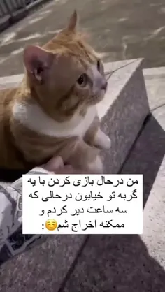 خود گربهِ تو کلیپپ 🛐😭