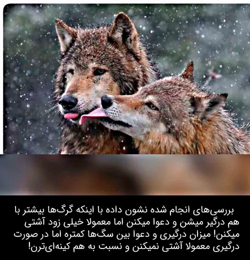 تاثیر هم نشینی با انسانها...