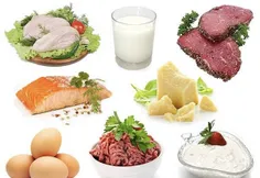 بهترین منبع غذایی پروتئینی حیوانی برای؛ سفیده تخم با ارزش
