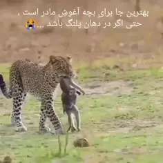 #مادرانه