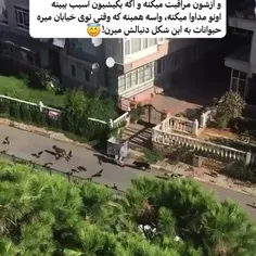 به این میگن انسانیت😭😭😭😭😭😭😭😭