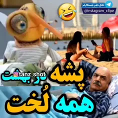 پشه در بهشت😁