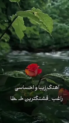 ar1a3m6e7sh 74213089