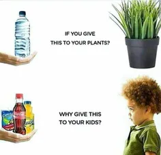 وقتی به گیاهان و گل هایتان آب میدهید