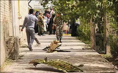 به گزارش پایگاه اطلاع رسانی شبکه خبر یک فروند هواپیمای مس