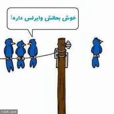 طنز و کاریکاتور sarehb 3177579