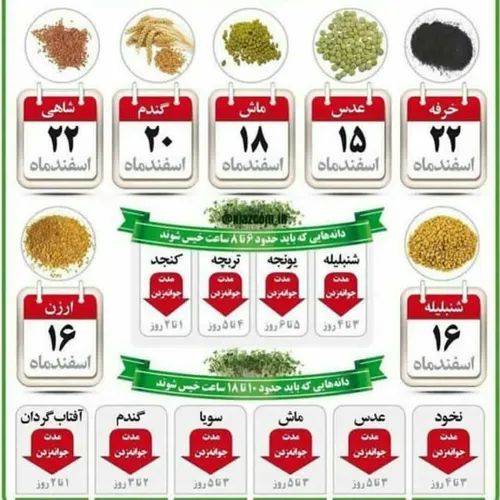 دوستان نوروز نزدیک سبزه یادتون نره.