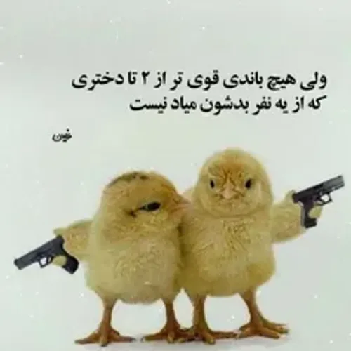 واقن راس میگه 😎🤣🤣🔪هشدار دادیم دگ