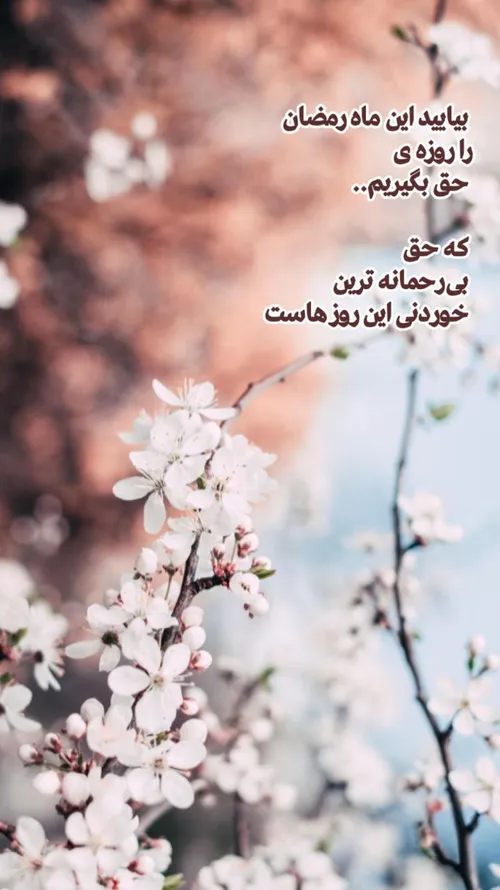 عکس نوشته