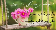 گوناگون amirsadeoo1100 16038512