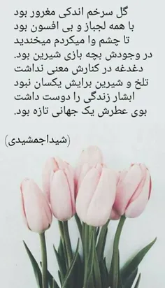 نویسنده و شاعر شیداجمشیدی