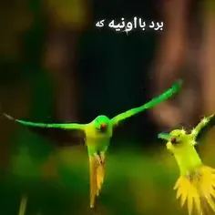 شیطون منو بلاک میکنی 