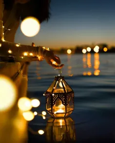 🌸 شب همگی خـوش