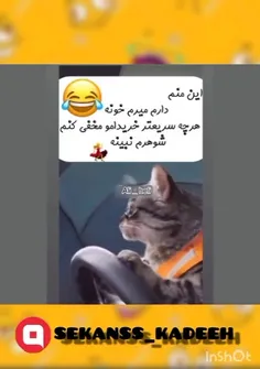 وقتی خرید کردی😂