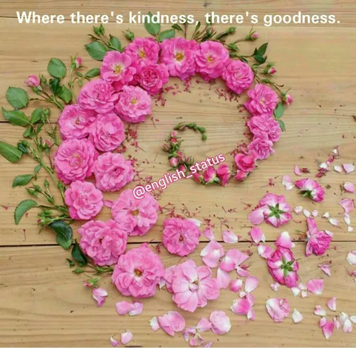 Where there's kindness, there's goodness.