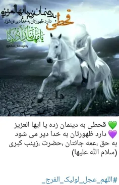 جانم به فدایت یا مولا یا بقیة الله 🙏🙏