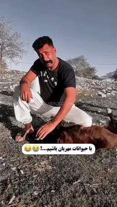 آیا حیوانات هم با شما مهربانند؟🤣🤣🤣