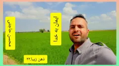 ایمان به خدا 