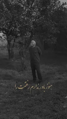 کاش می شد