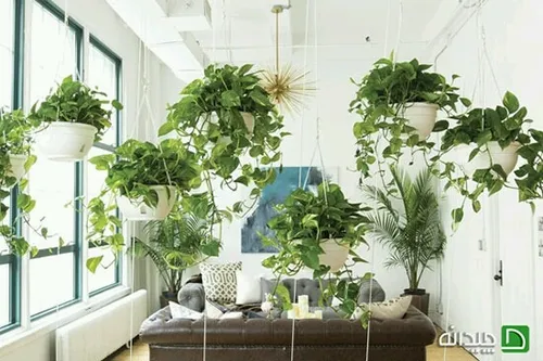 دکوراسیونی برای گیاهان آپارتمانی 🌱 دکوری فانتزی ایده خلاق