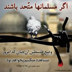 راه حل مشکل فلسطین