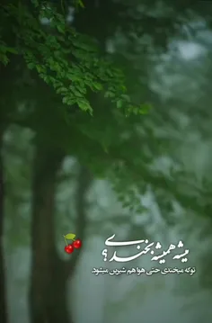 🍒🌱و صبح...