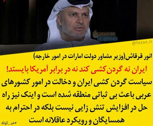 وزیر اماراتی: ایران نه گردن کشی کند نه در برابر آمریکا با
