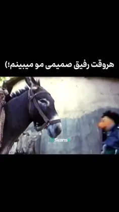 هر وقت رفیق صمیمی مو میبینم 😂😂👍