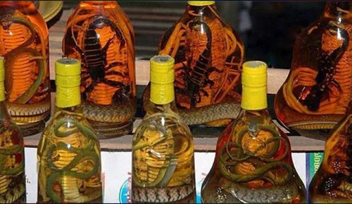شراب عقرب و مار از نوشیدنی هایی است که در ویتنام میتوان ی