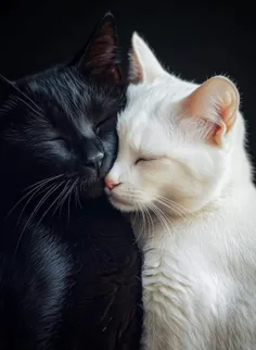 ♥️