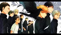 #anime #haikyu!! 