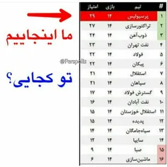 #زیرشی_کیسه_کش