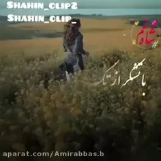 و همچنین لایک کننده های عزیز ❤