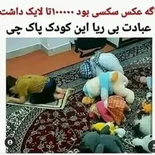 چنتا لایک داره