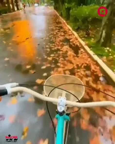 دوچرخه سواریِ توی خیابون بارون زده در دل پاییز و رنگهاش 