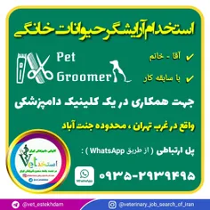 استخدام آرایشگر حیوانات در یک کلینیک دامپزشکی در تهران
