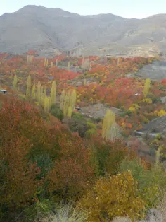 پاییز_مشهد_طرقبه روستای کنگ