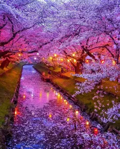 طبیعت زیبای ژاپن