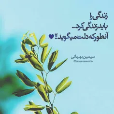 زندگی را ورق بزن