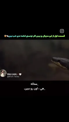 سریال: موش