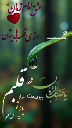 :..« تو را قسم به خاطر زینب ظهور کن ..... »..: