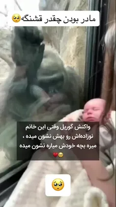 ای جانم🥺😍 بوسش هم میکنه☺️