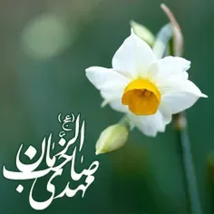 امام سجاد(علیه السلام): ای ابوخالد! مردم زمان غیبت که معت