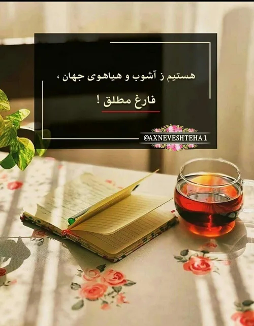 مردی از خدا دو چيز خواست... يک گل 🌸و يک پروانه🦋...